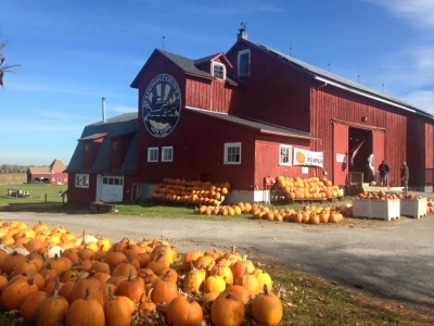Critz Farms Fall Harvest Celebration